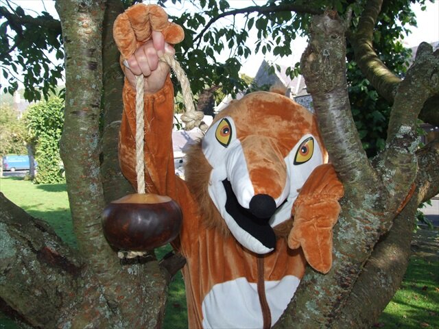 foxy in tree