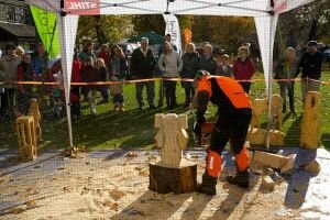 chainsaw carving and more crowd 2014_opt