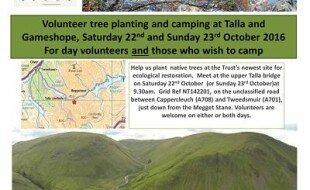 talla-planting-flier-oct-2016-v3_opt